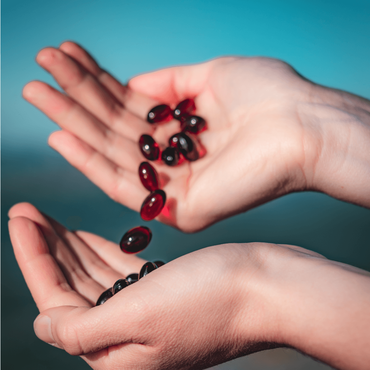 zooca original tabletter i hånd