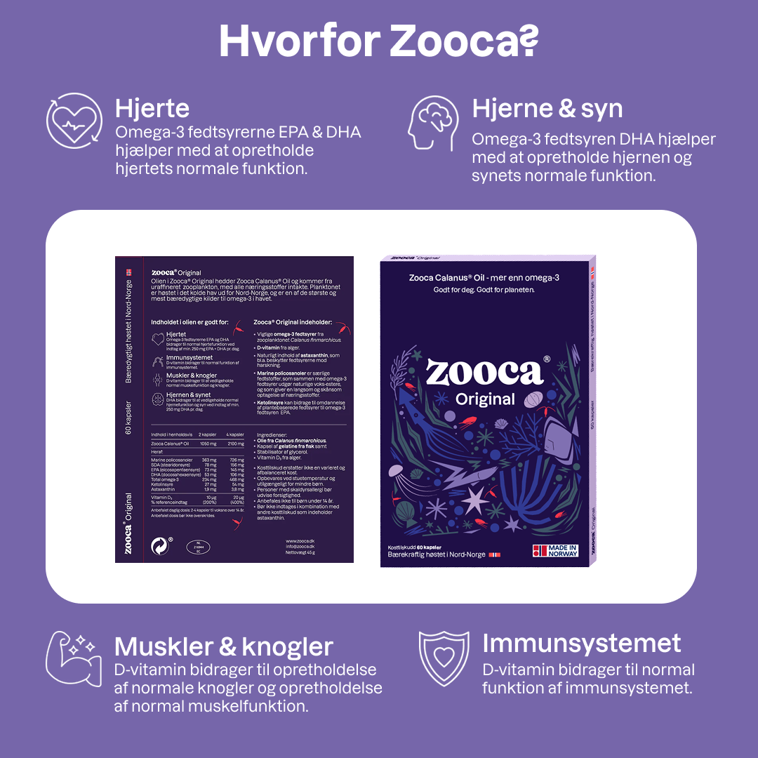 Zooca Original Årspakke