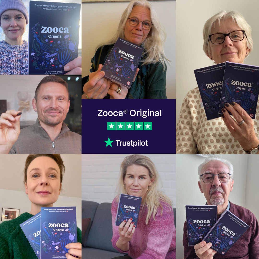 Zooca Original Årspakke