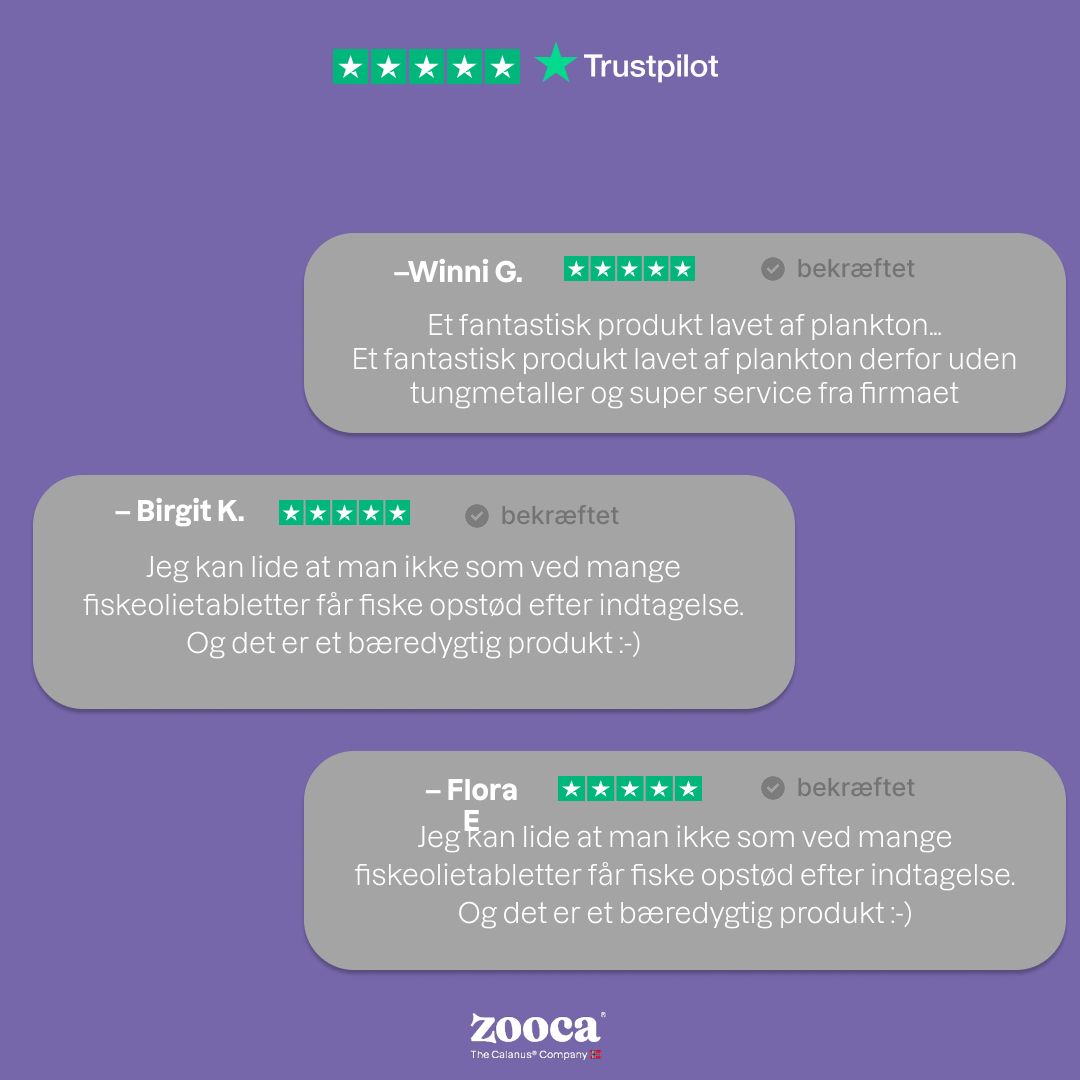Zooca Original Årspakke