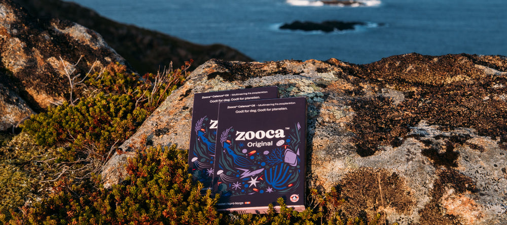 køb zooca original til 90 dage